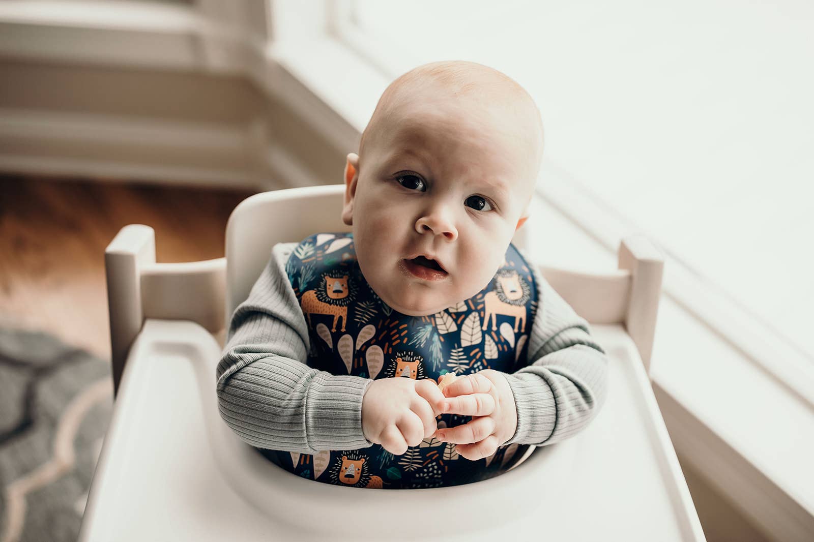 Three Little Tots - Wholesale Bib - Baby - Zoo Lion Print Silicone Bib with Crumb Catcher6