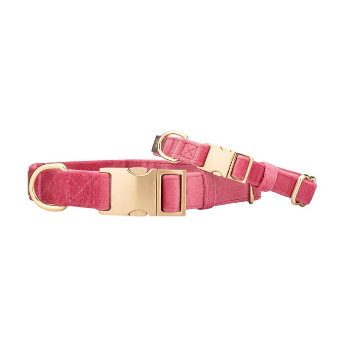 Pink Papyrus | Premium, Durable, & Stylish Dog Products - Wholesale Pet Collar - Dog - Ella Dog Collar | Pink Dog Collar | Dog Collar
