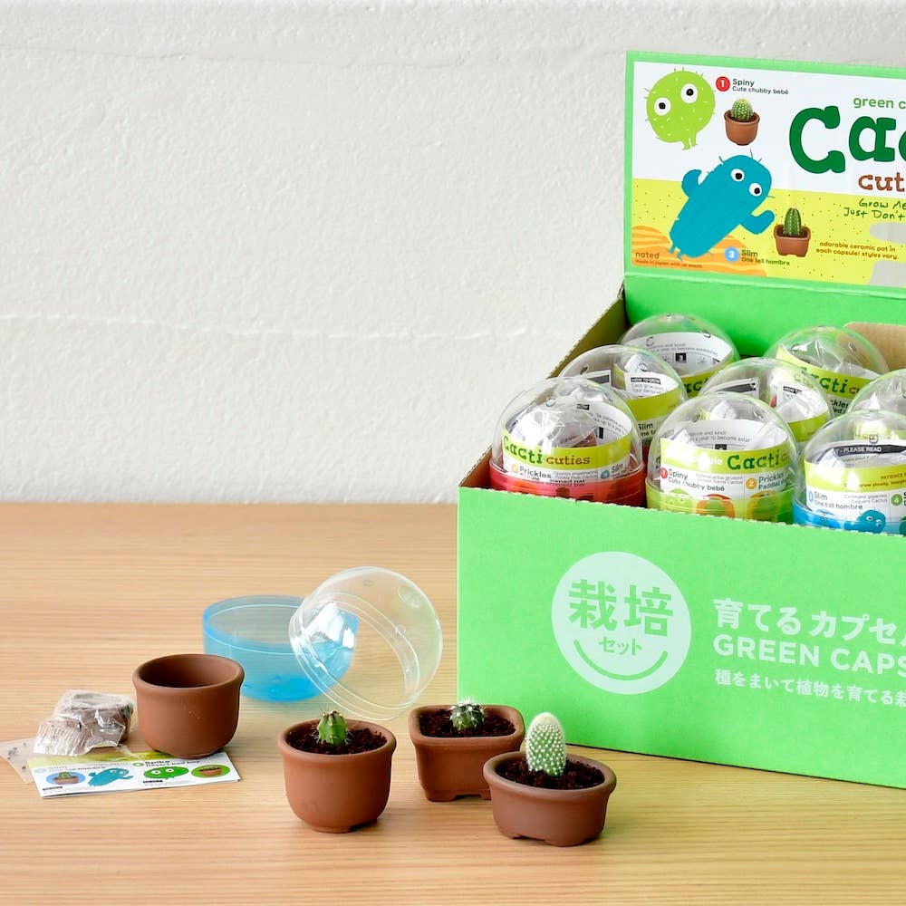 Noted - Wholesale Plant Seeds - Green Capsule Cacti Cuties - Assorted 4 Styles1