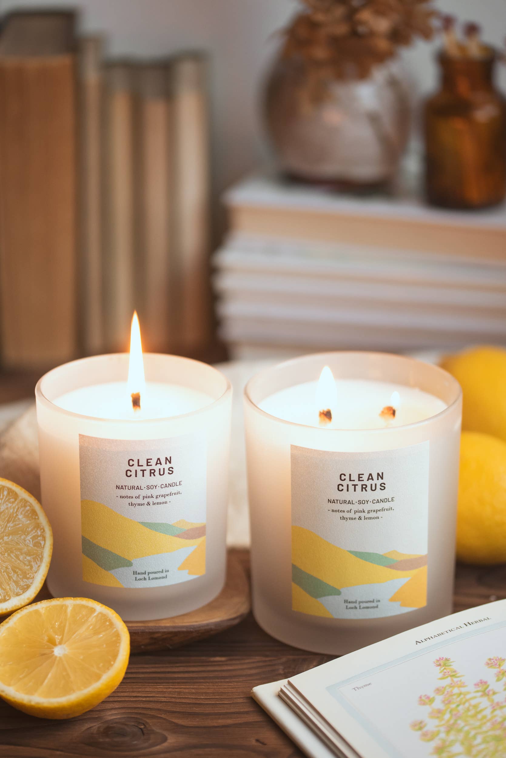 Ocoee House – wholesale Jar/filled candle – Clean Citrus, Organic & Vegan Scented Candle | Ocoee House14