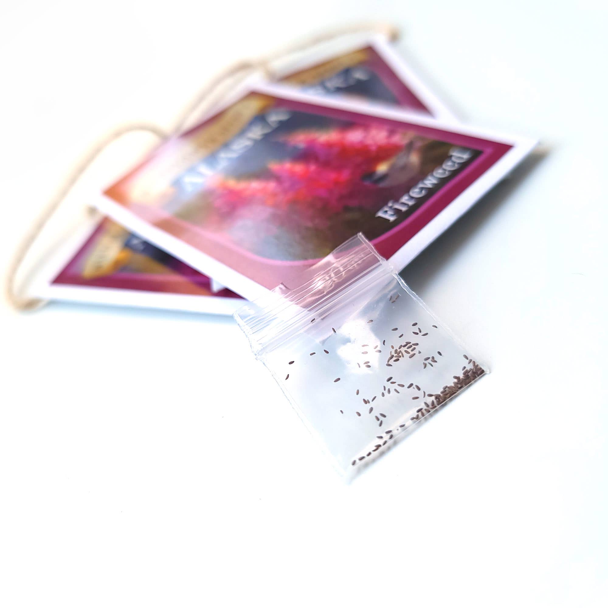 Whitworth Gallery - Wholesale Plant Seeds - Alaskan Fireweed Wildflower Seed Packets1