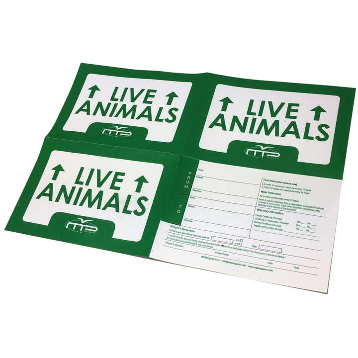 Grey Carrier Bracco Dog Carriers for wholesale on Faire22