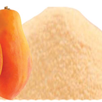 Indus Farms 100% Natural Papaya Fruit Powder,GMO-Free,Vegan for wholesale by Indus Farms Superfoods