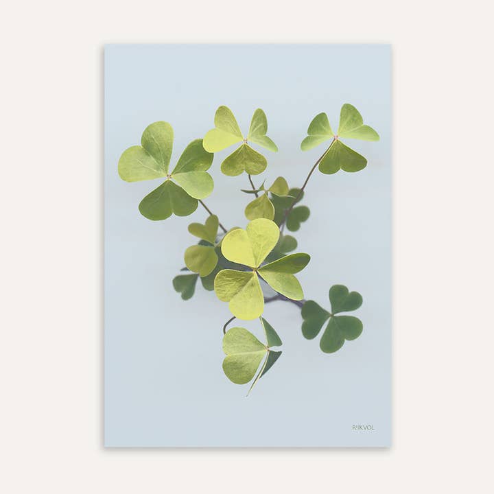 Clover 01, Poster A4 Blossom por atacado de Rijkvol