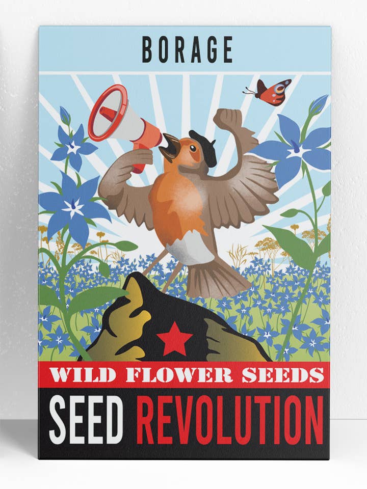 Borage Wildflower Seeds – Edible Pollinator Garden Favourite for wholesale by Seed Revolution