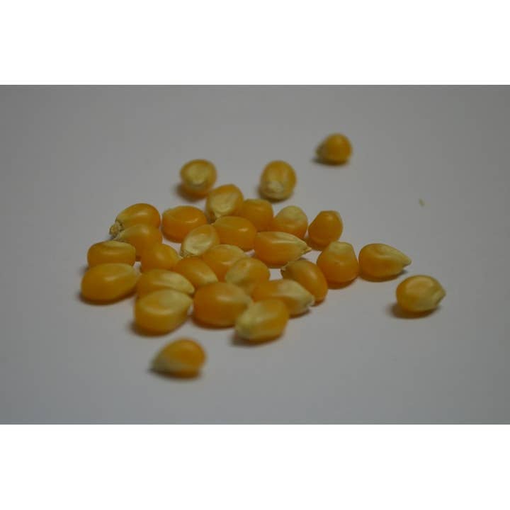 El Artesano de Martos - Wholesale Nuts - Corn 250 Grs.1