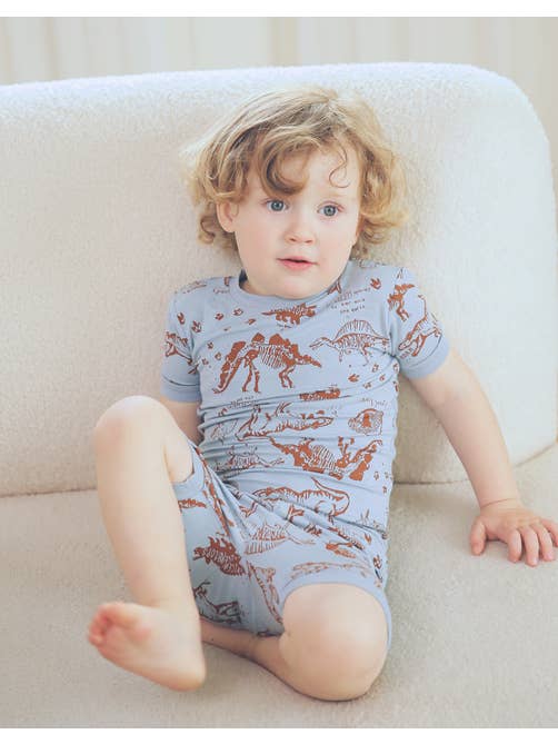 Blue Grey Dinosaur Museum Viscose Short Sleeve PJs for wholesale on Faire1