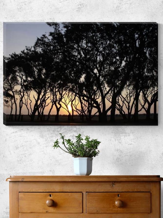 Fort Fisher Live Oaks - Canvas print for wholesale by Sherry Pfeifle Studio