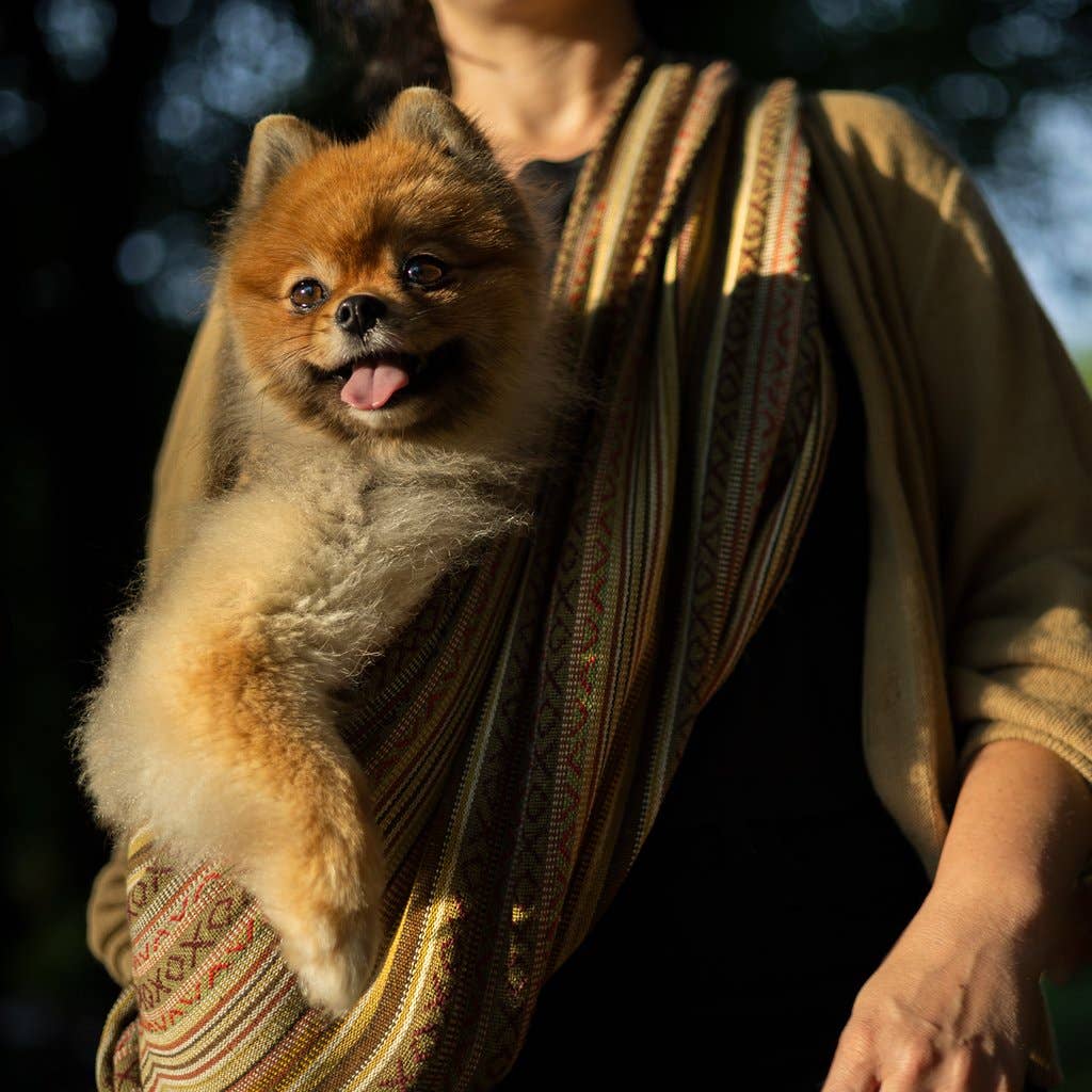 Walking Palm - Wholesale Pet Carrier - Cat/Dog - Dog Sling - Moab Woven3