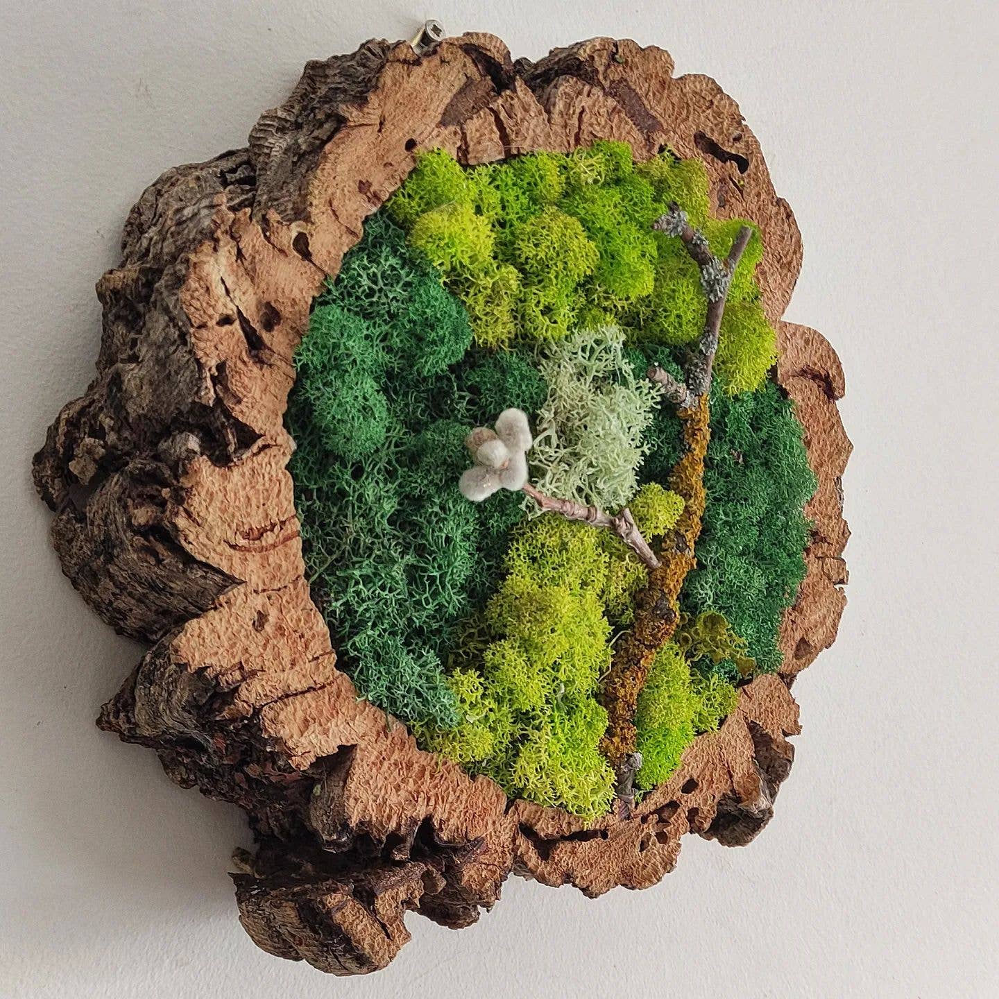 Fios Jardins Suspensos - Wholesale Live Plant - Living frame in cork frame with preserved moss2