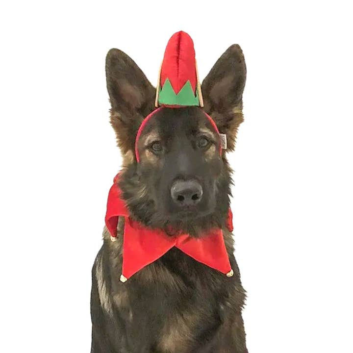 Midlee Elf Dog Hat with Bell Neck Band Dog Costume for wholesale by Midlee Designs