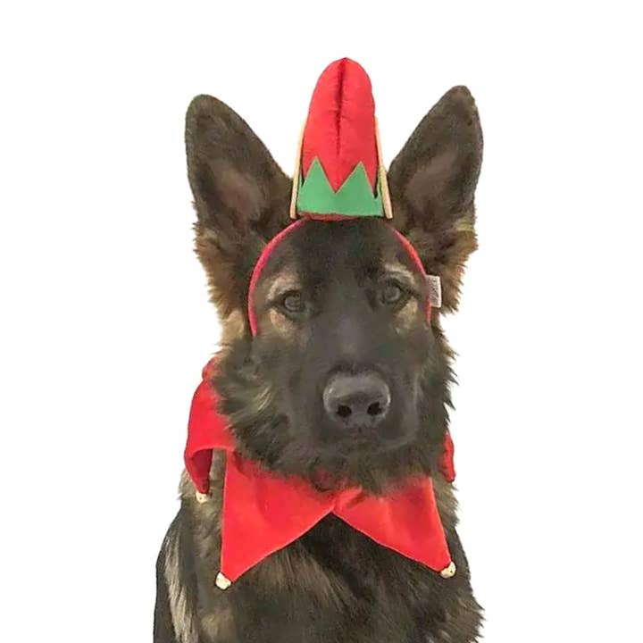 Midlee Elf Hund Hat med Bell Neck Band hund kostume for engroshandel hos Midlee Designs