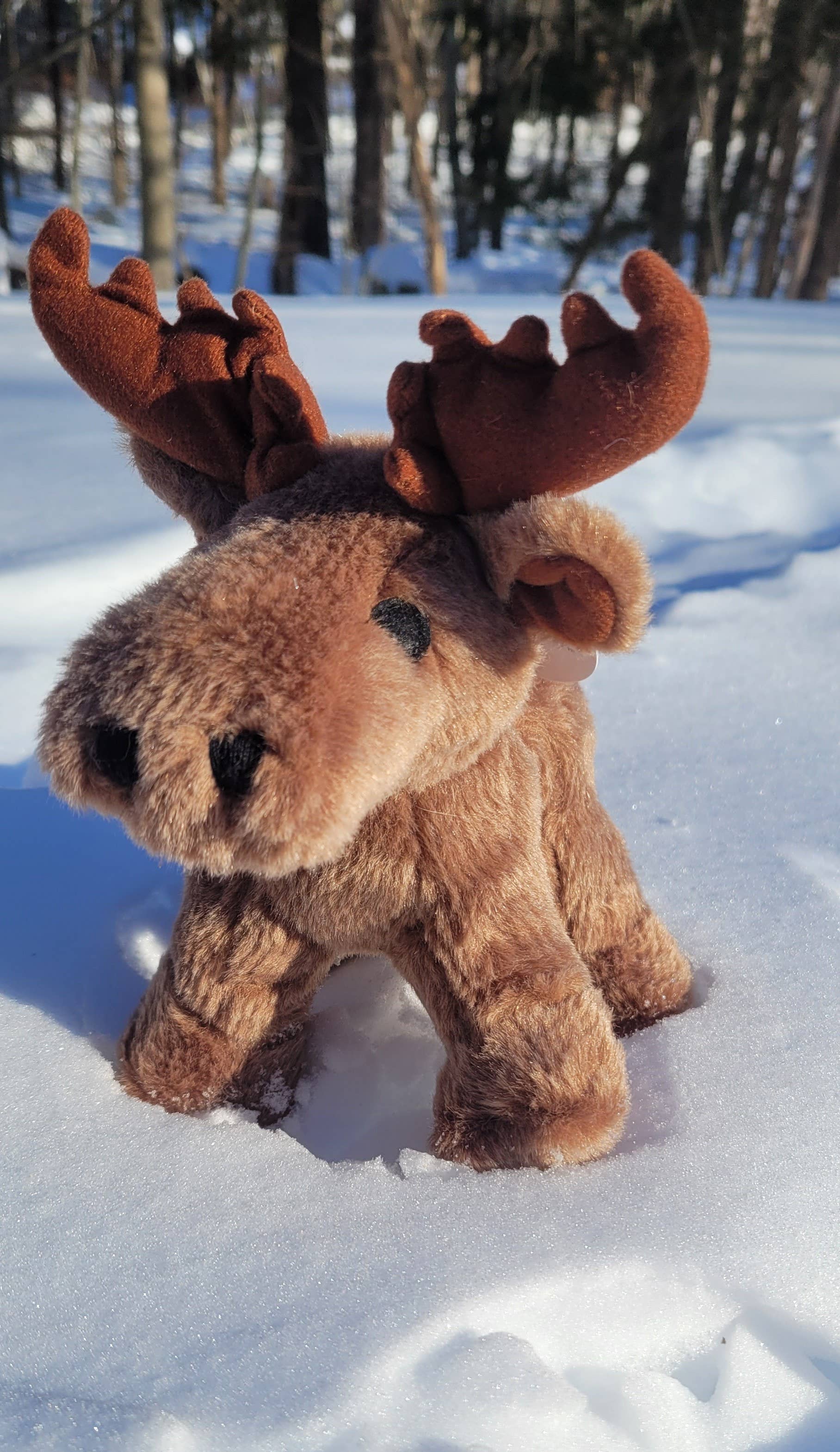 Pet Souvenirs - Wholesale Pet Squeaky Toy - Dog - MOOSE Plush Squeaky Dog Toy