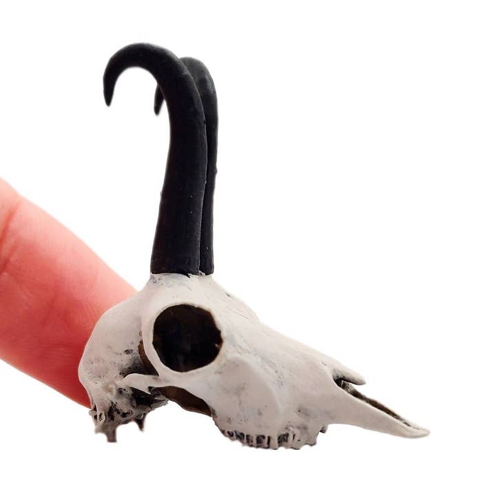 Chamois Skull - 1/6 Scale Miniature and other Purchase Wholesale chamois. Free Returns & Net 60 Terms on Faire trending on Faire.