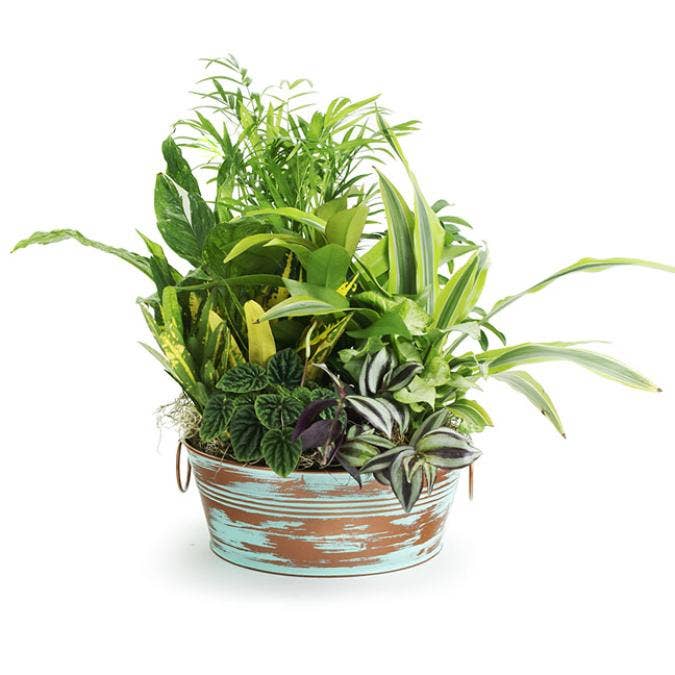 Buhi Imports - Wholesale Decorative Plate/Dish/Bowl - 10 inch Faux Verdigris Copper Tub 1