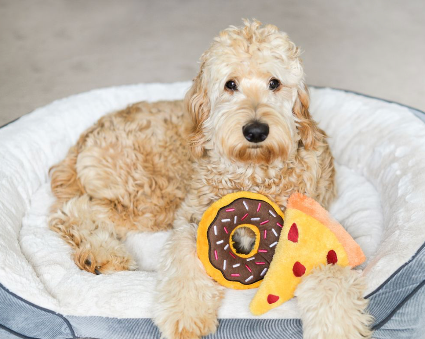 ZippyPaws – wholesale Mjukisdjur - Hund – NomNomz® pizza hundleksak3