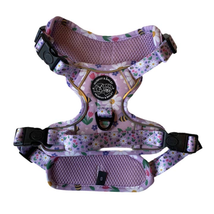 Murphy & Bailey Explore Harness - Bumble and Blossom for wholesale by Murphy and Bailey