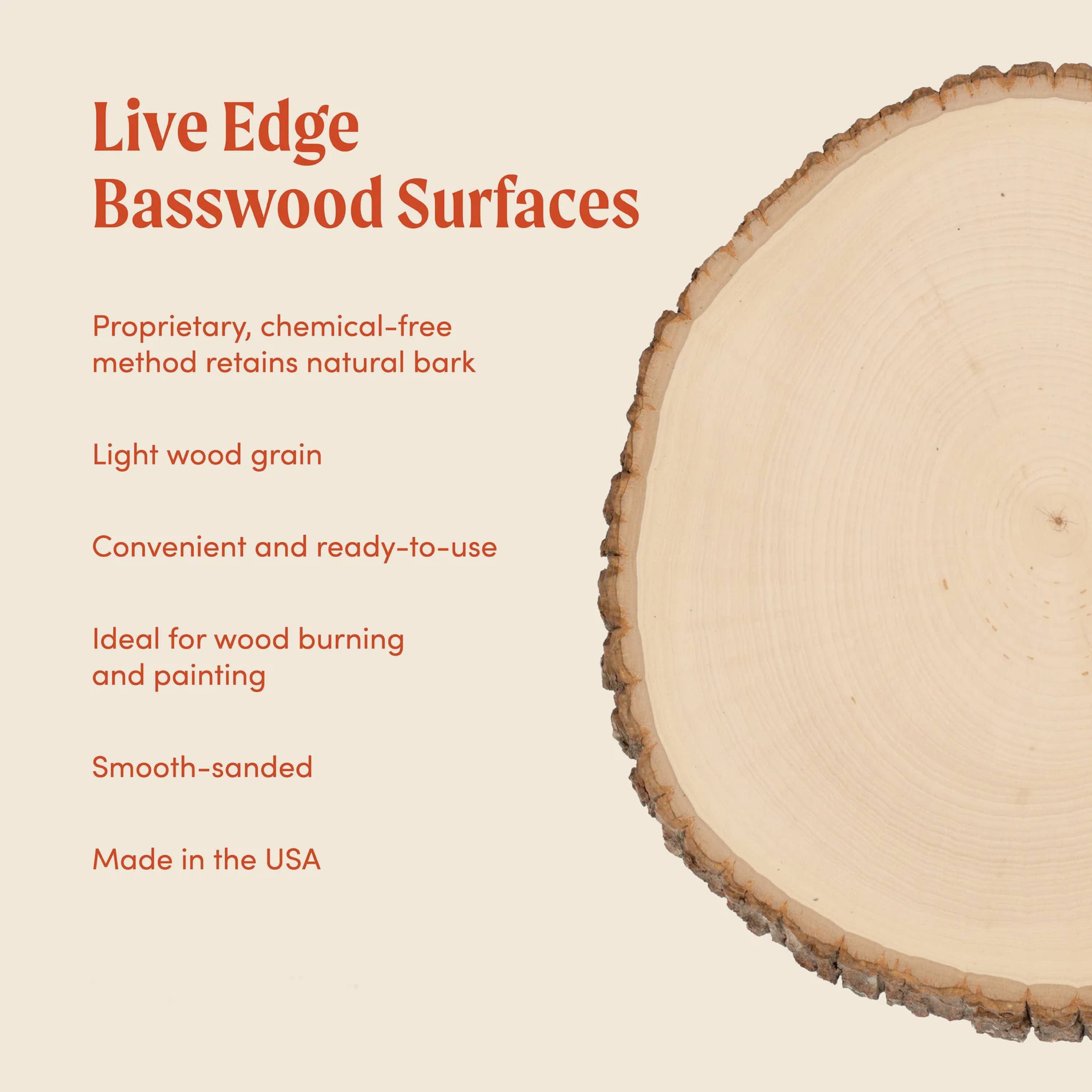 Foggy Bottom Woodworks LLC - Wholesale Craft Supplies - Basswood Live Edge Round, Thick Extra Large for Crafts4