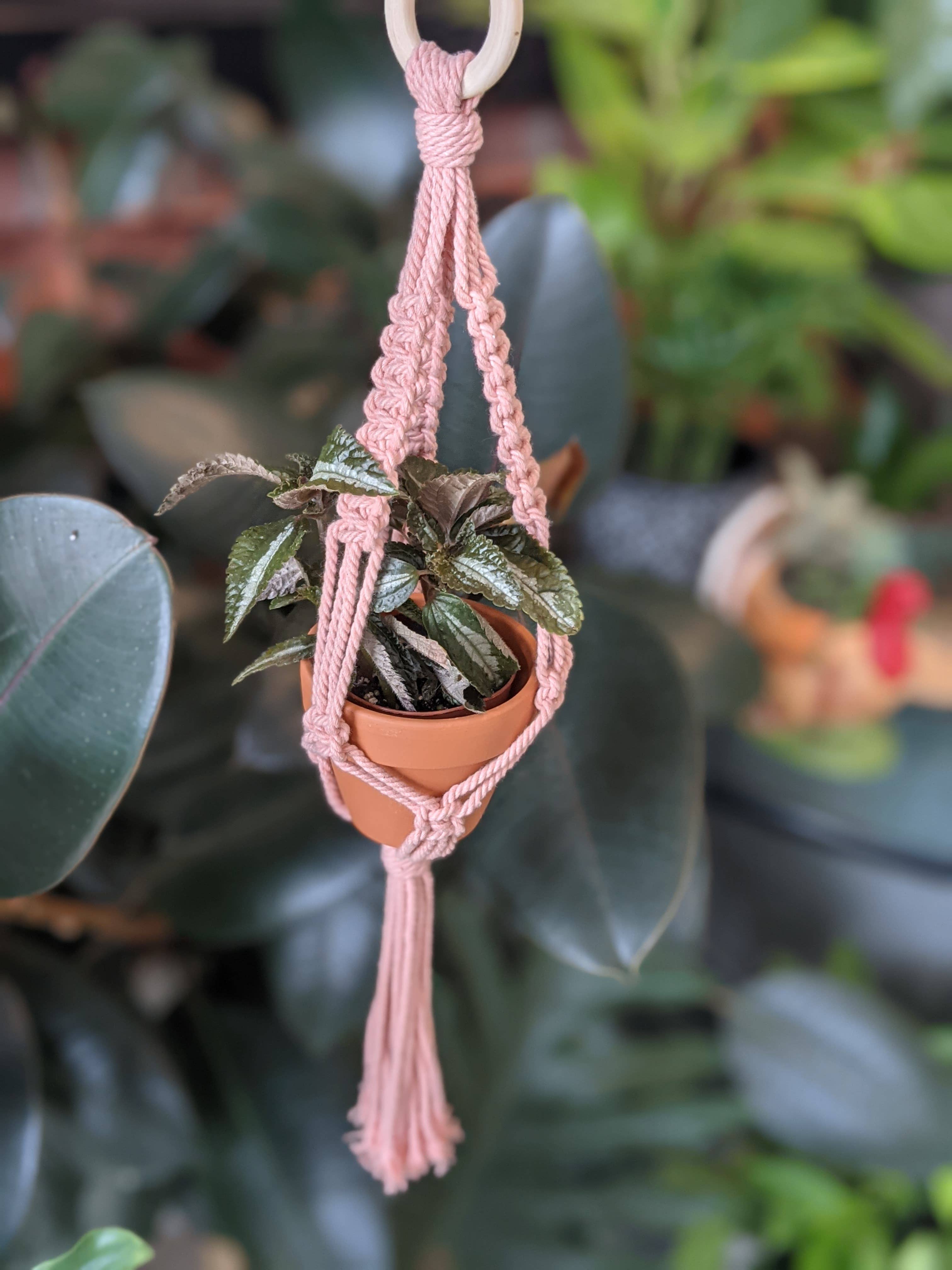 Leaf and Cord - Vente Jardinière suspendue - Cintre pour plantes en macramé - Le Petit3