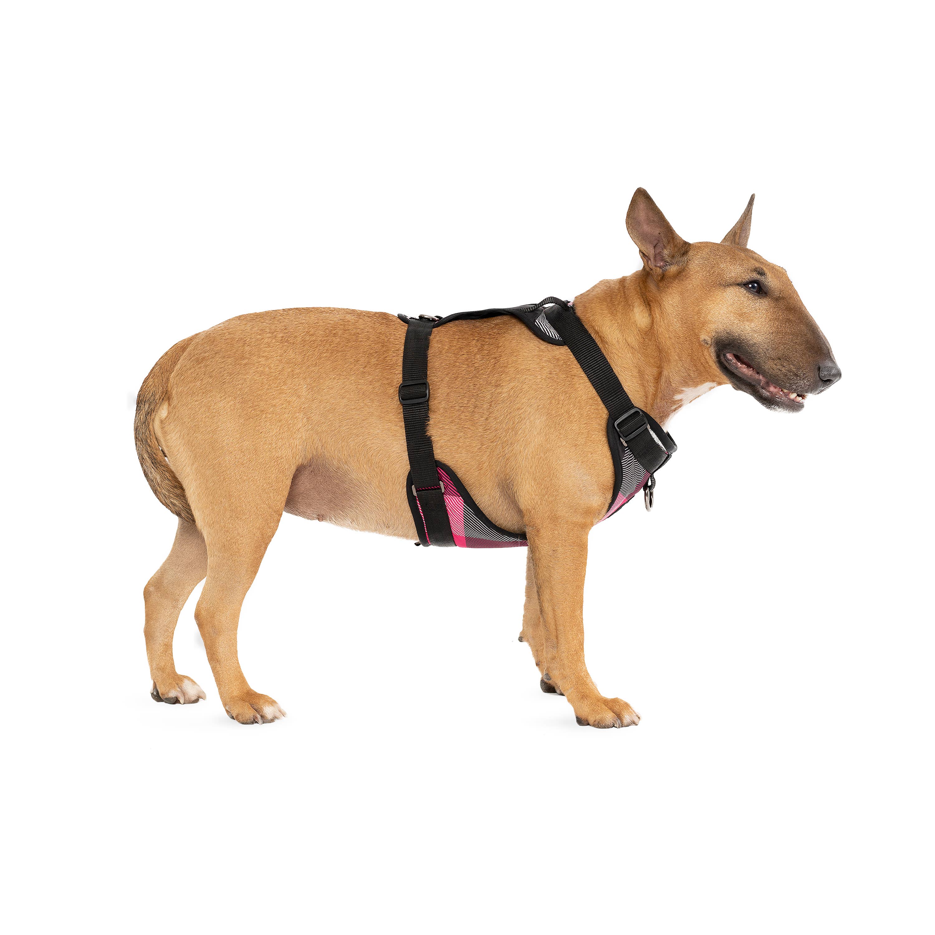 Canada Pooch – wholesale Pet harness – Dog – Everything Harness- No-Pull Dog Harness (Water Resistant)7