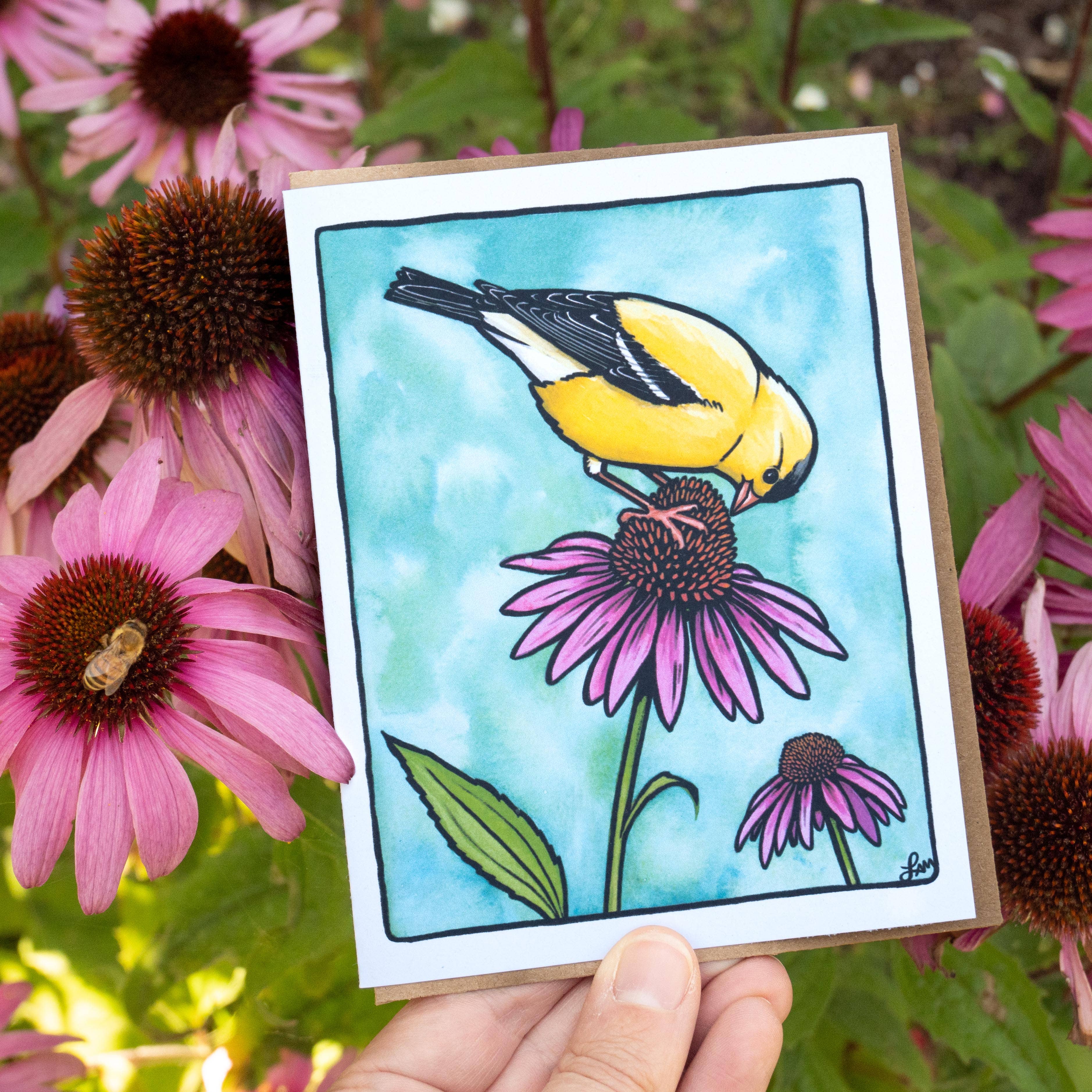 Laurel Mundy Illustration - Wholesale Everyday Greeting Card - Goldfinch on Coneflower Greeting Card 100% Recycled Paper4