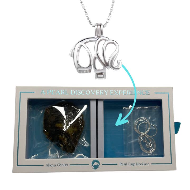 Island Pearl Traders – wholesale Jewellery set – Elephant - DIY Oyster and Necklace Box Set