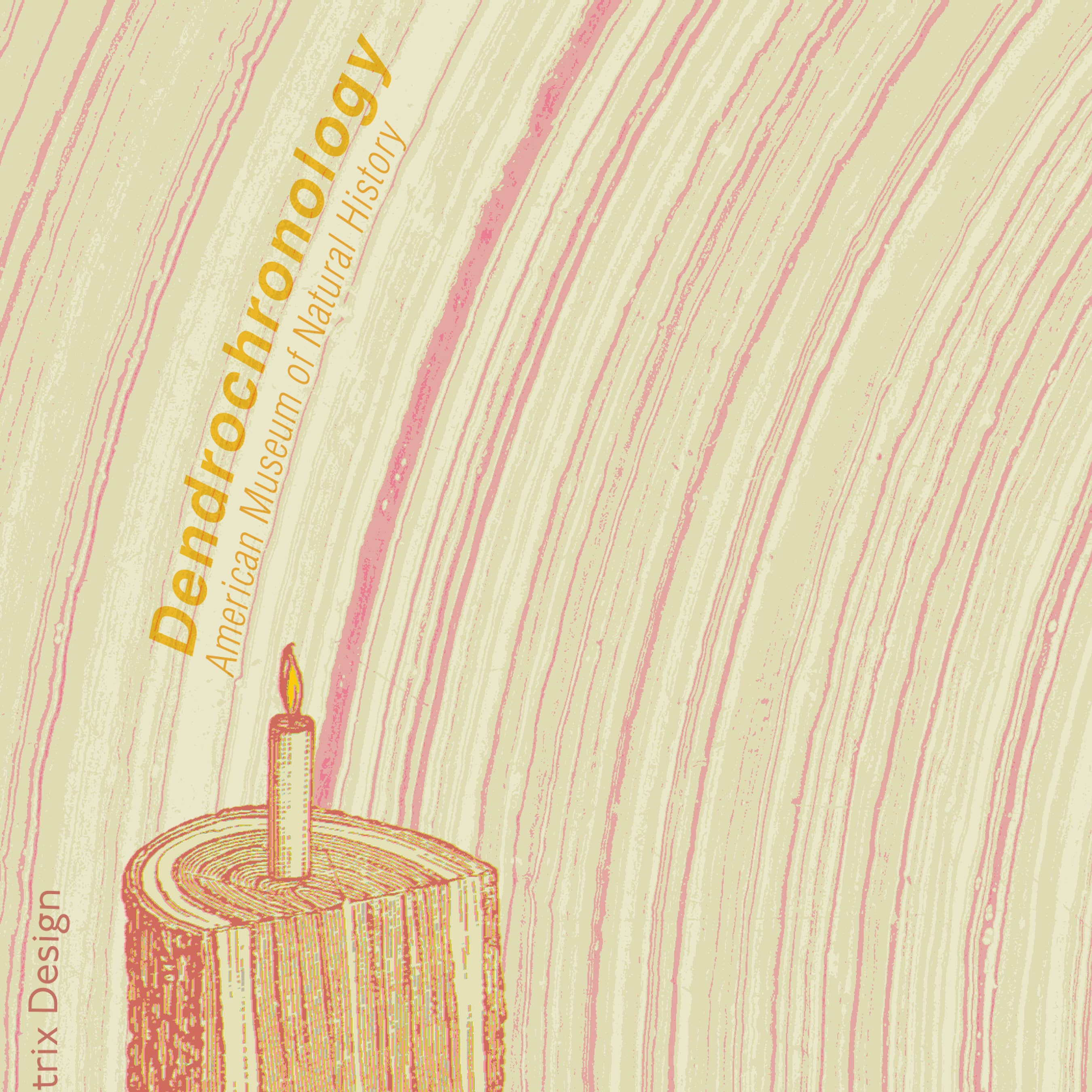 Pictrix Design - Wholesale Thank You Card - "Dendrochronology" A2 birthday card (woman)6