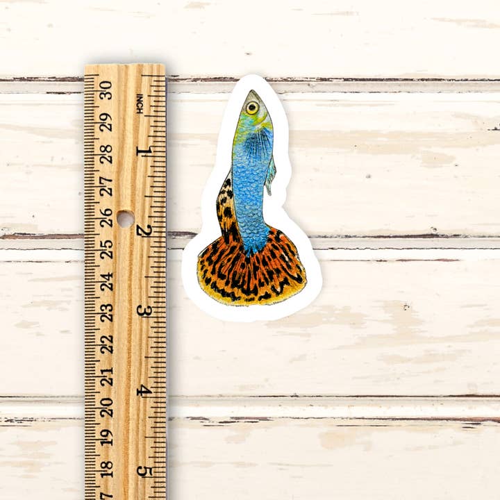 Fins and Frags - Wholesale Sticker - Handmade Guppy Sticker, for Fish & Aquarium Lovers 3