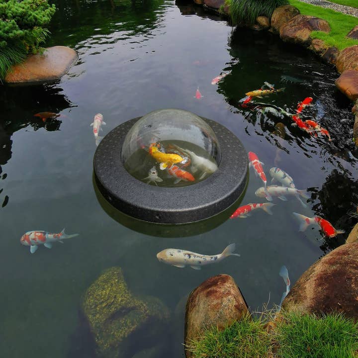 Quickway Imports - Wholesale Outdoor ornament/decor - Fish Dome Ball for Fish to Swim Above the Surface3