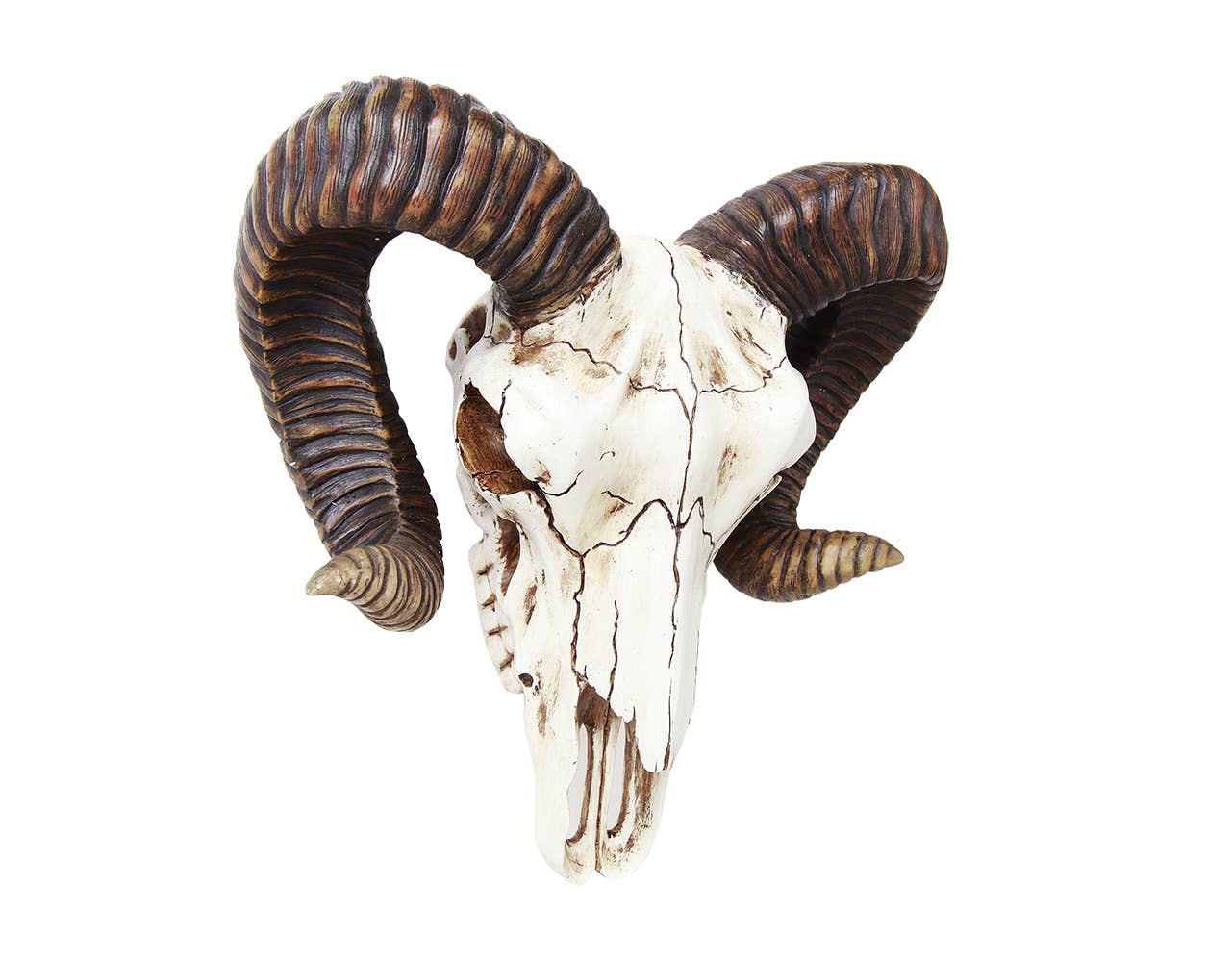 Pacific Trading – wholesale Decorative figurine – Ram Skull