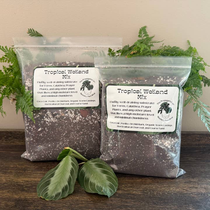 Tropical Wetland Mix for wholesale by The Propagation Jar