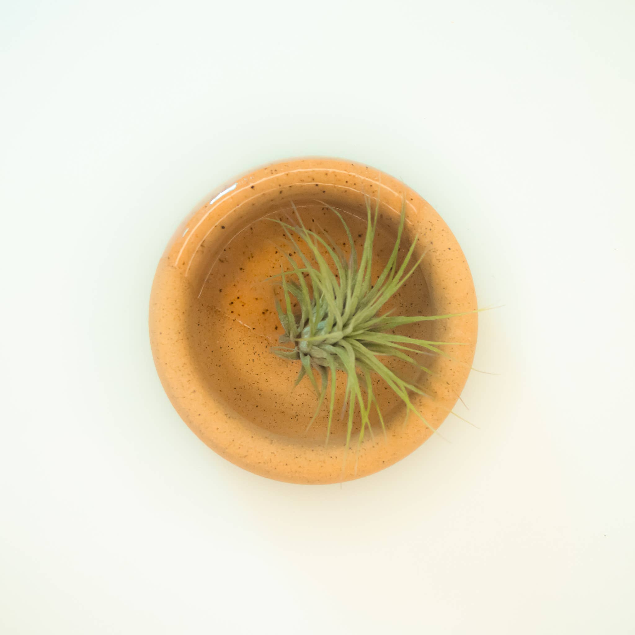 Barro Studio – Großhandel Schmuckschalen – Schmuckschale6