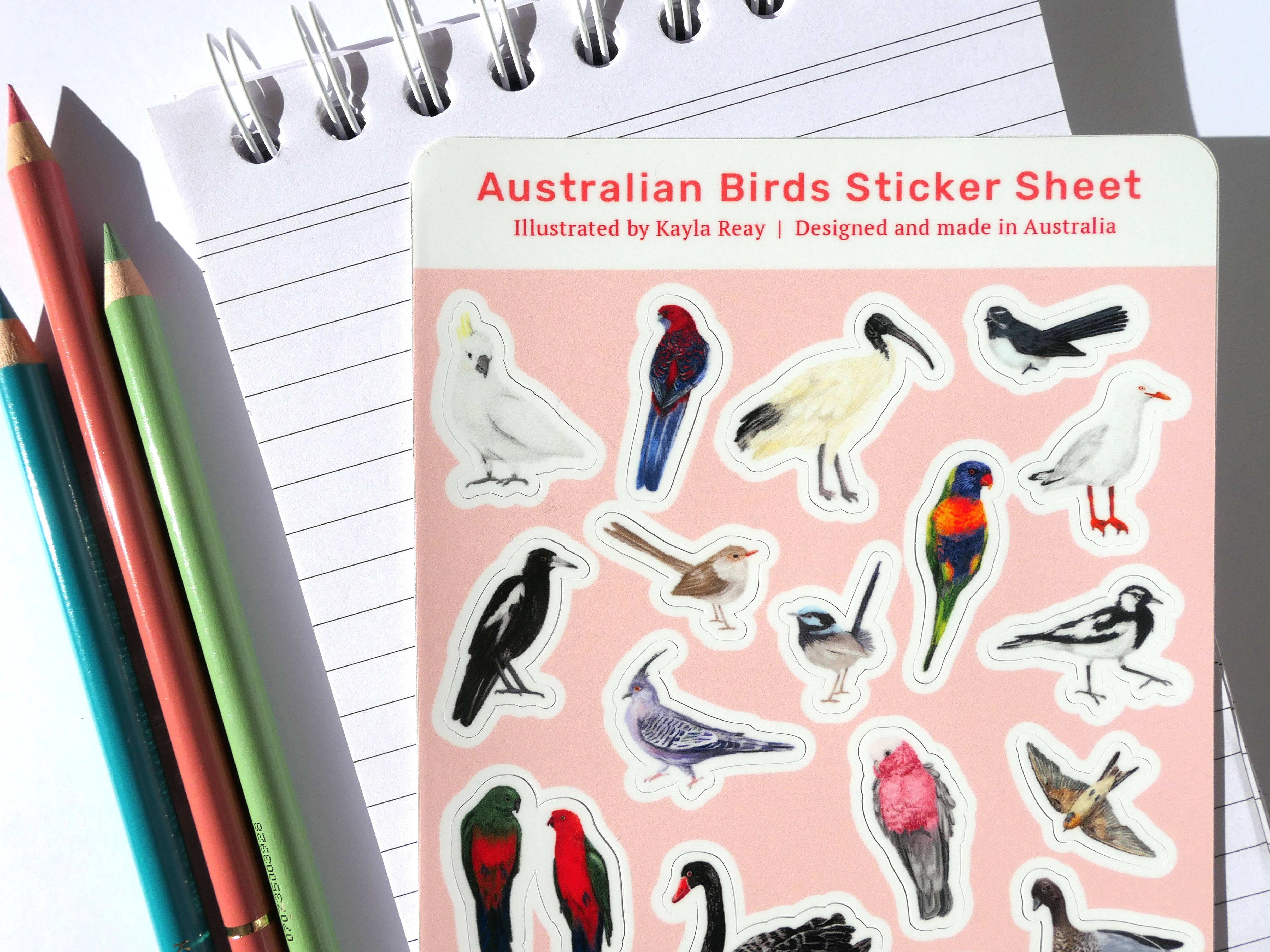 Kayla Reay Design - Venta al por mayor Pegatina - Hoja de pegatinas de vinilo de aves australianas comunes del jardín6