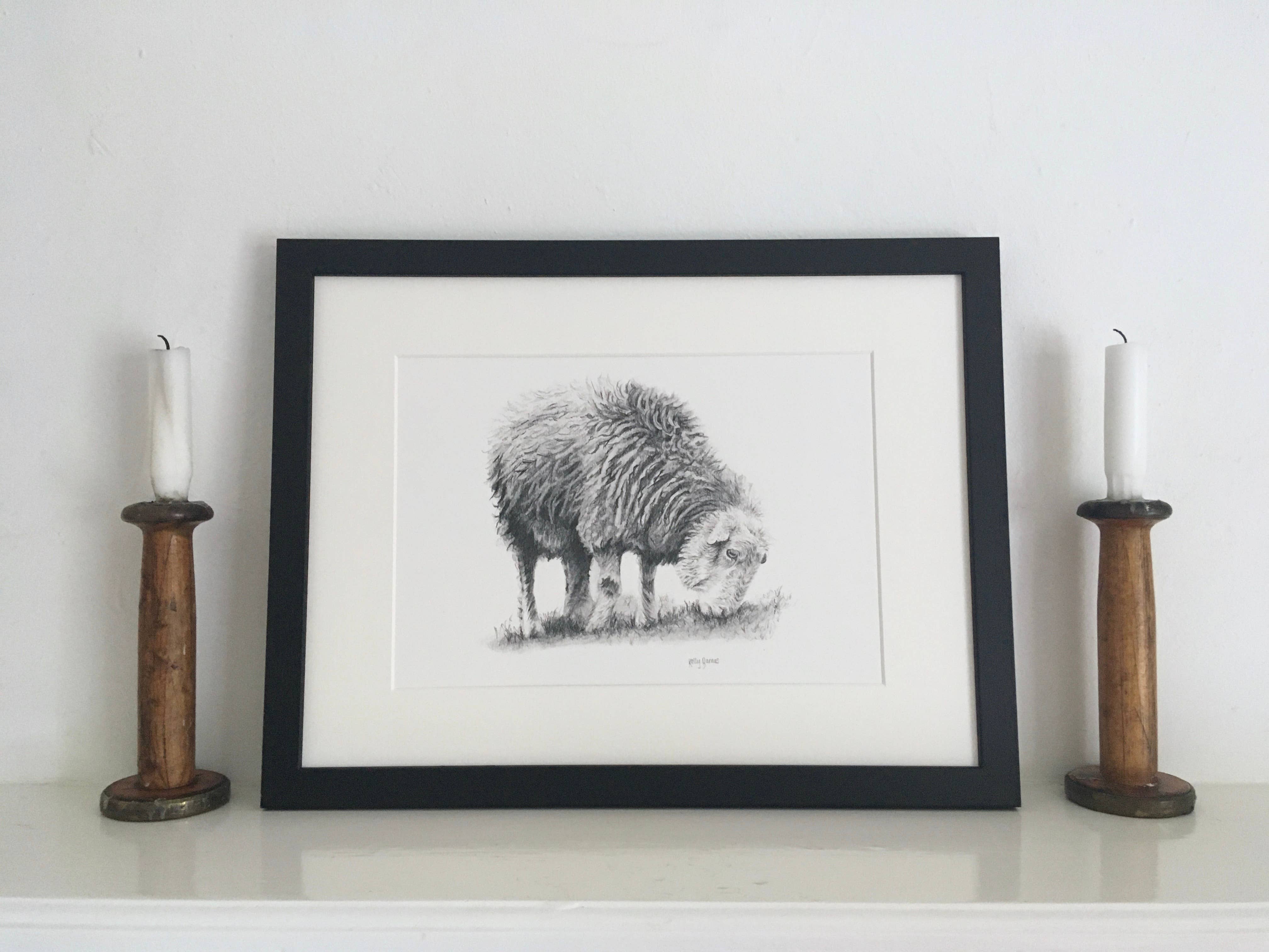 Kelly Barnes Portraits – wholesale Art print – Herdwick Sheep Mounted Print | Pencil Drawing | Farm Animals5