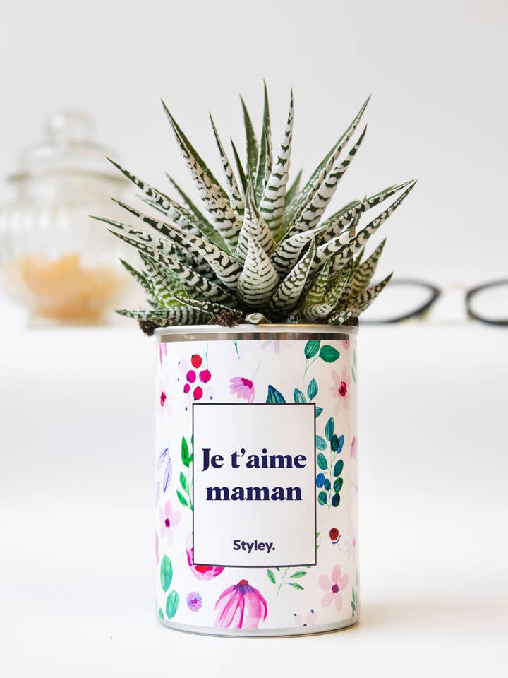 Je T'aime Maman - Cactus for wholesale by Styley