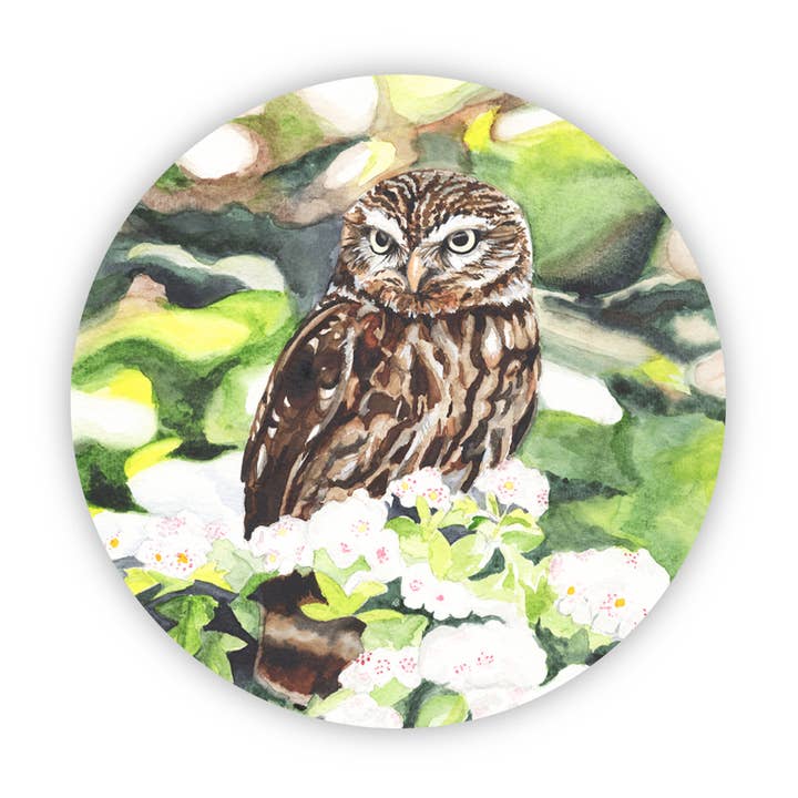 Owl in Camo / Vinyl Sticker for wholesale by Kasey Melissa Art