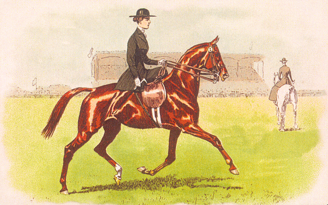 Ox Bow Decor - Venta al por mayor Cojín decorativo - Almohada de lino para equitación o doma clásica con jinete femenino1