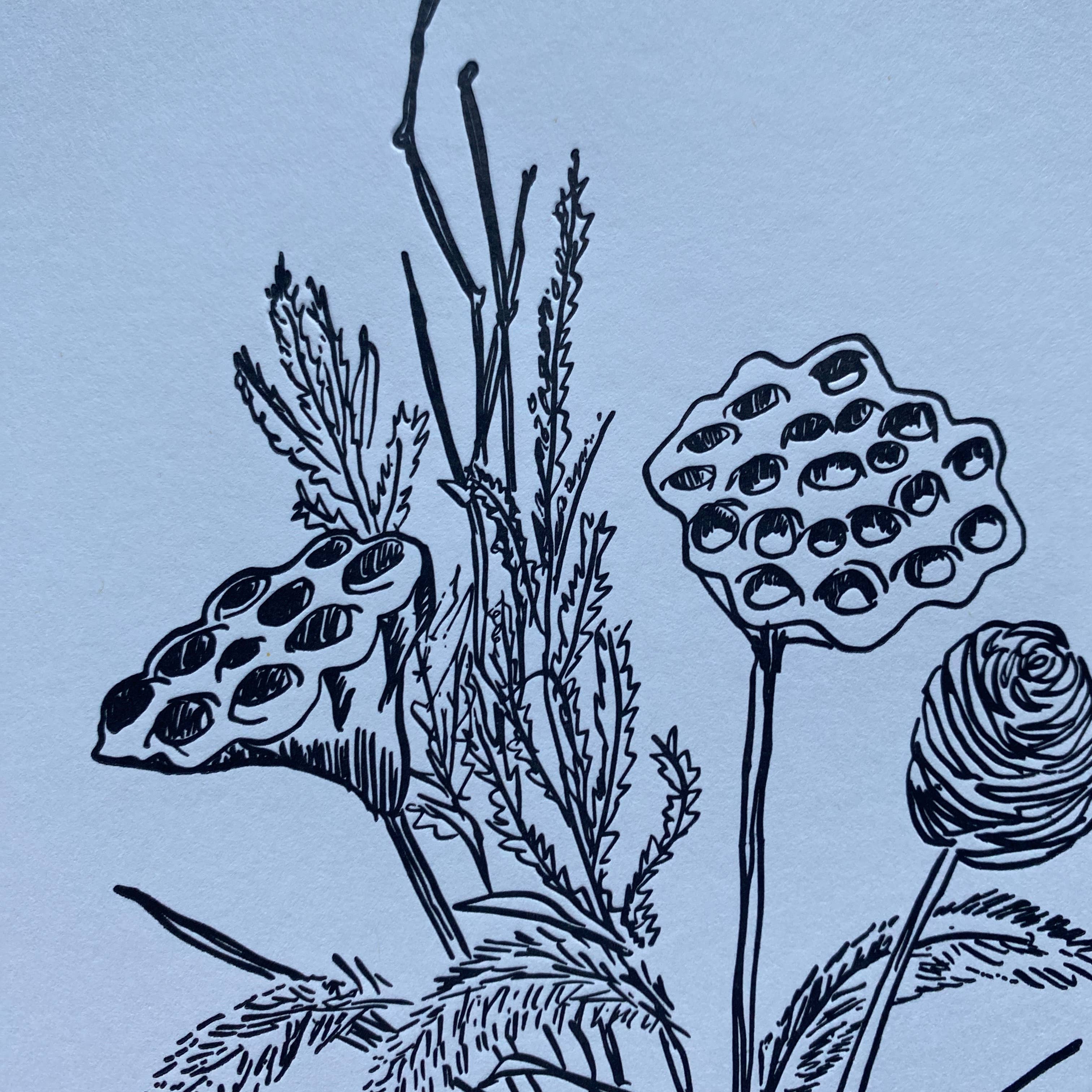 Ratbee Press - Wholesale Art Print - 8" x 10" Possum Skull Print3