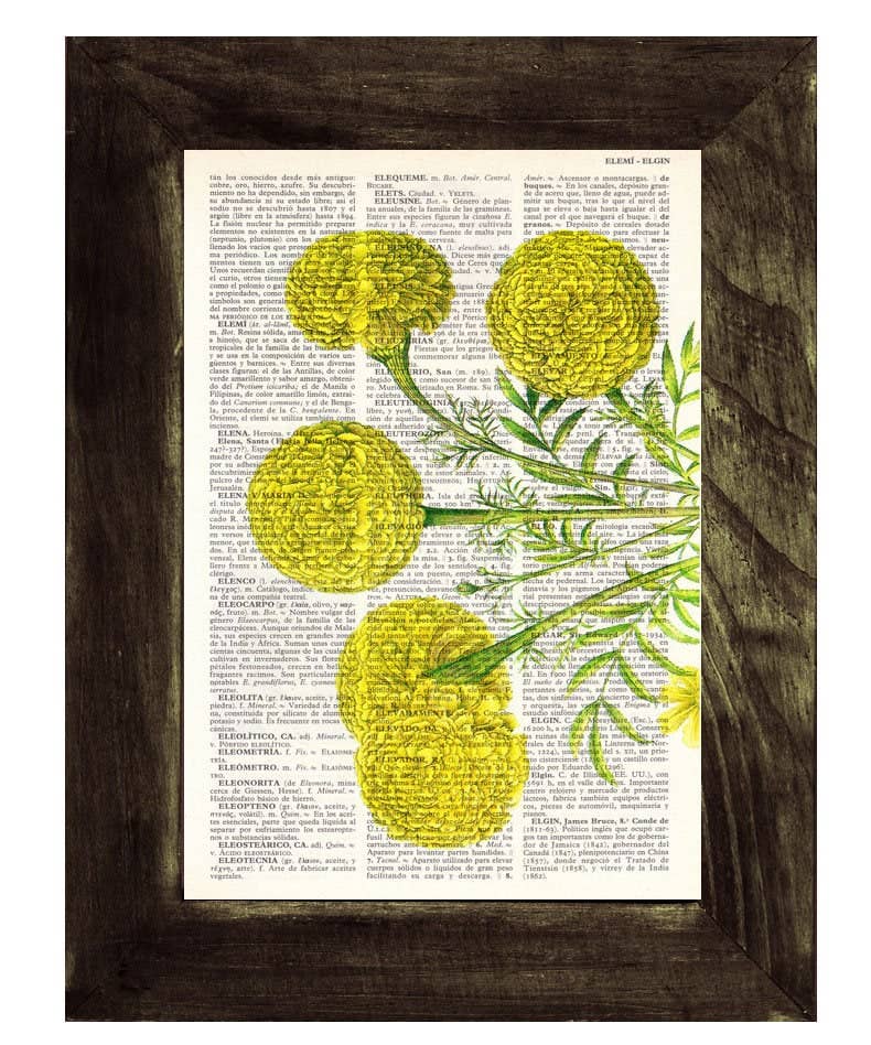 PRRINT! - Vendita all'ingrosso Stampa artistica - Arte botanica del fiore di calendula africana0
