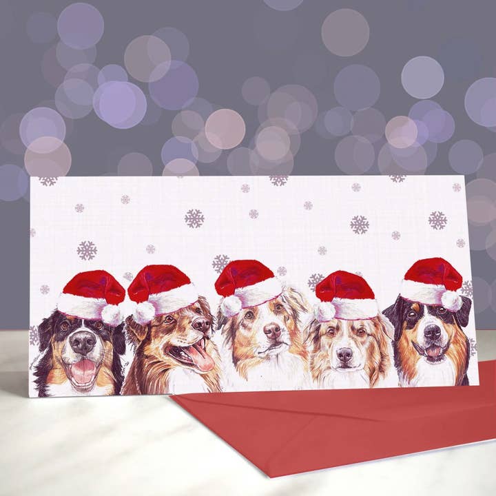 Australian Shepherd - Jul lykønskningskort for engroshandel hos Amber Marie Studio