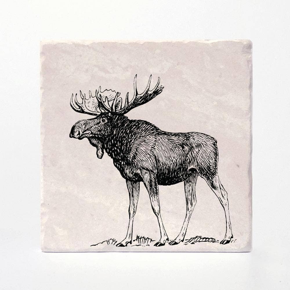 Versatile Coasters - Wholesale Coasters - Moose Coasters0