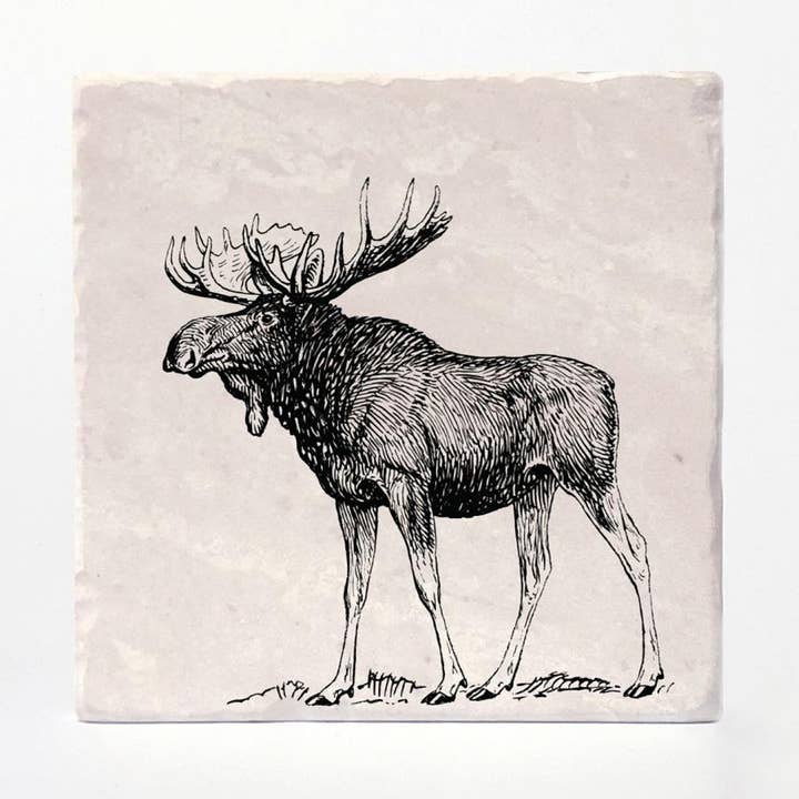 Versatile Coasters - Wholesale Coasters - Moose Coasters0