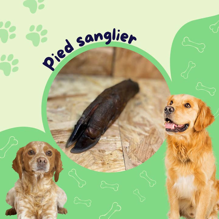 JF animalerie - Wholesale Pet Treats - Dog - Pied Sanglier/Dog treat