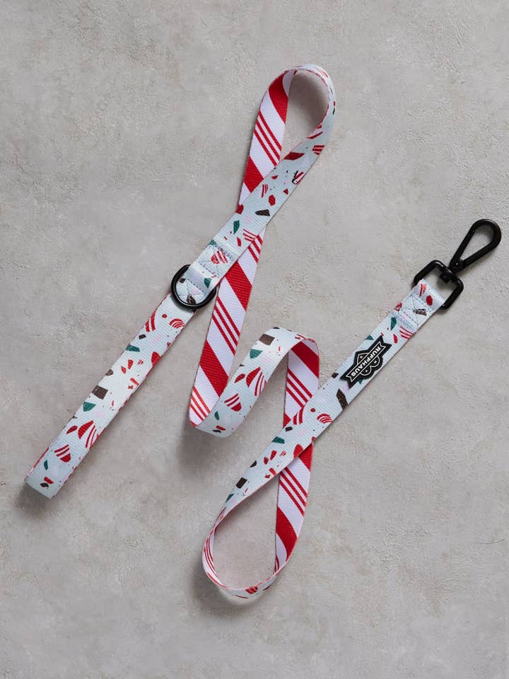 Hundeleine aus Pfefferminzrinde für den Großhandel von Ruffhaus NYC