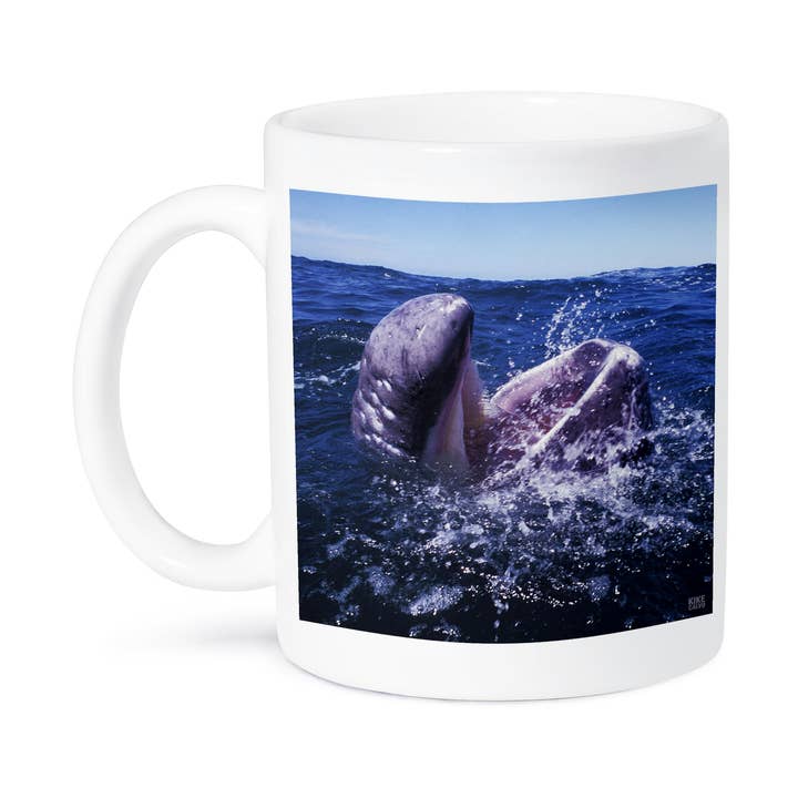 3dRose – wholesale Kaffekoppar – 3dRose, Gråvalkalv i San Ignacio-lagunen Eschrichtius robustus Baja California, Mexiko, Mugg8