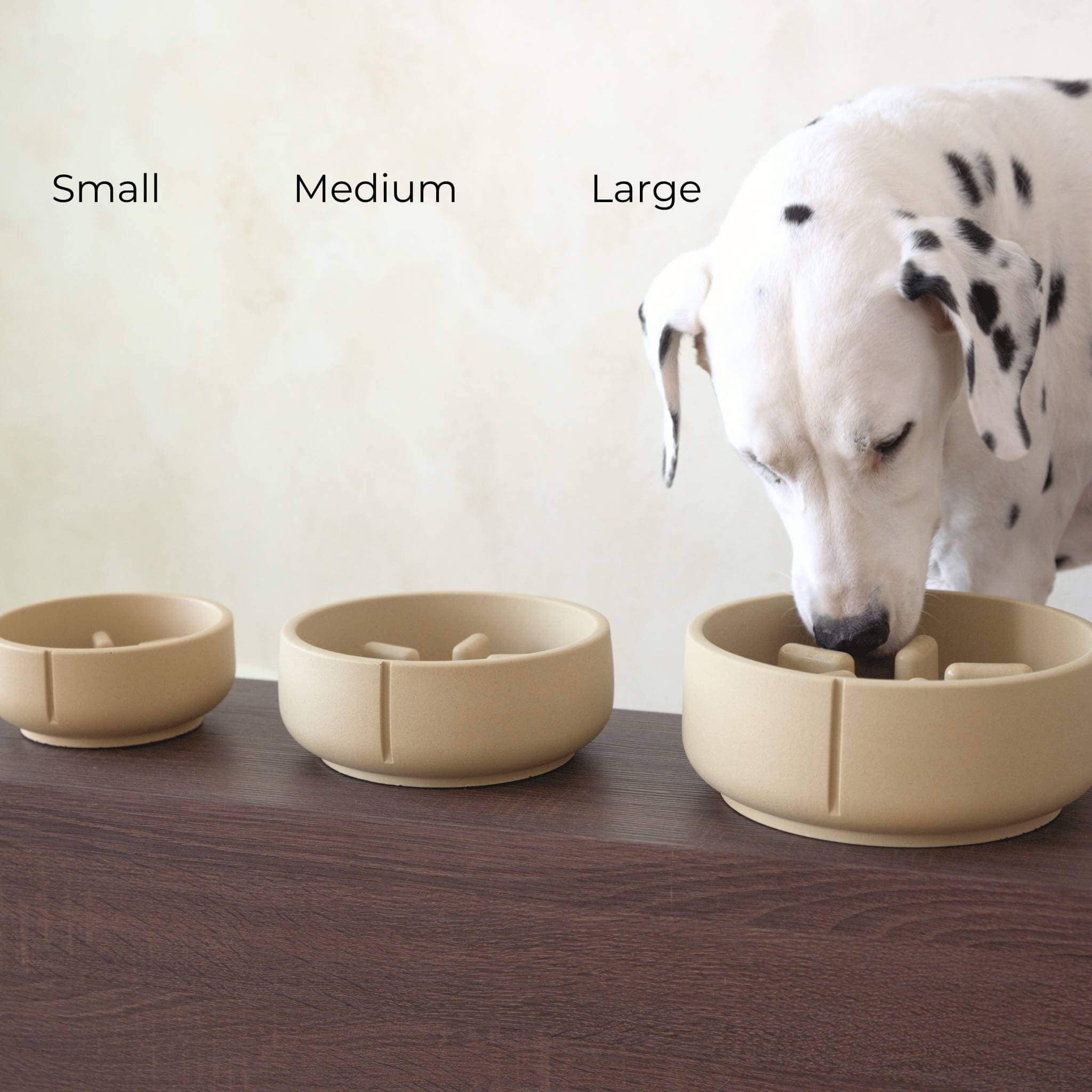 PINO - Wholesale Pet Bowl - Dog - Slow Feeder Bowls - 2024 Collection10