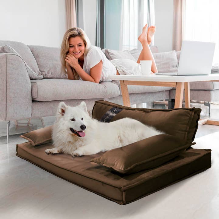 Precious Tails - Wholesale Pet Bed - Dog - Precious Tails Modern Sofa Bed - Medium