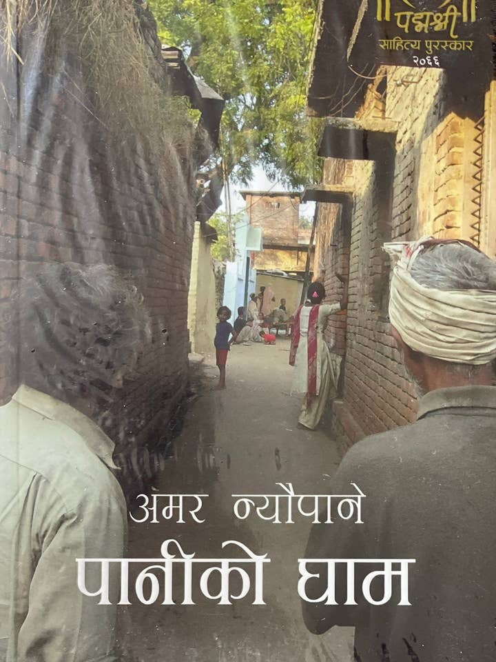 Paaniko Ghaam for wholesale by Kitlee