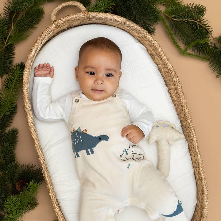 Dino Jacquard Sweater Strikket Baby Overall Sæt (Økologisk Bomuld) for engroshandel hos Viverano Organics