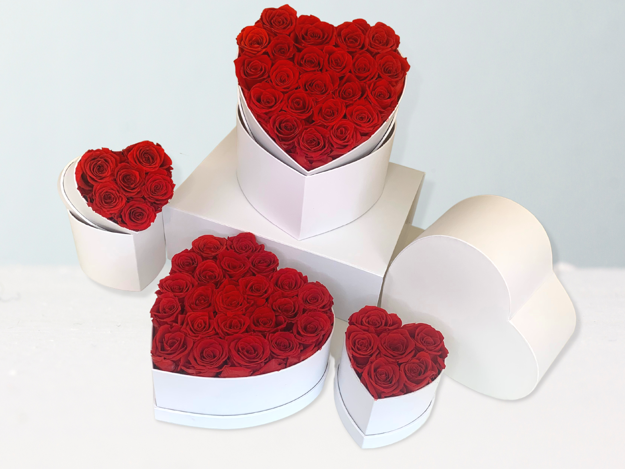 verona home and gift - Wholesale Dried/Pressed Flowers - Real Preserved Roses that Last Forever 3